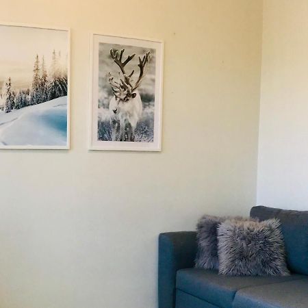 Santa'S Cozy Retreat, Near Santa'S Village Ροβανιέμι Εξωτερικό φωτογραφία